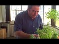 Emeril on Herbs