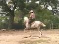 El Principe Caballo, Costarricense de Paso