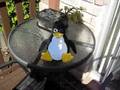 Tuxdroid exorcist