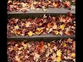 Autumn Autumn