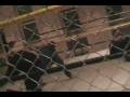 videos de PCWA Cage Match Tek Vs Bowes Vs Damage Part 2