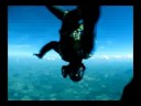 SKYDIVE WITH MACCA SQUAD