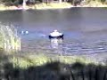 Lake tortuga first time part 1 - alex trying to push michi i