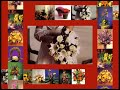 Always Flowers - Flores y regalos