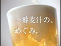 Ichiban 15sec _ Kouichi Sato.divx
