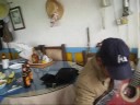 EL CHOCHO 2 EL CHOCHO 2