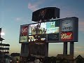 bucs-versus-dolphins.html