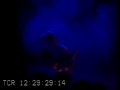 Extreme / Nuno's Flight of the Wounded Bumblebee 1991