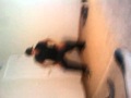 Stanky leg