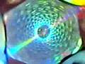 Holographic fratal crop circle!