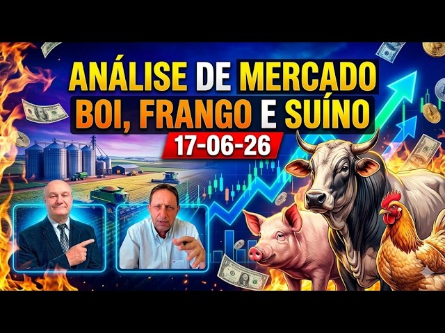 Mercado do Boi: escala de 30 dias do frigorífico pode ser blefe?