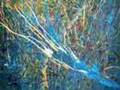 ABSTRACT MODERN ART BY LIZI