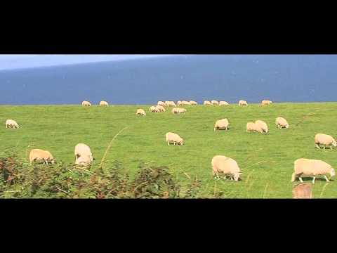 how to turn ewan the sheep off