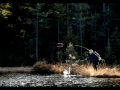 Fiskelycka med fluga