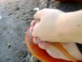 WEBBED FEET!