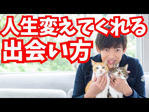 動画