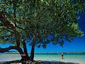 Isto � Nordeste - Brasil