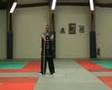 Kung fu Tao Lu (few traditionnal forms)