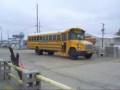 videos de Bus #557