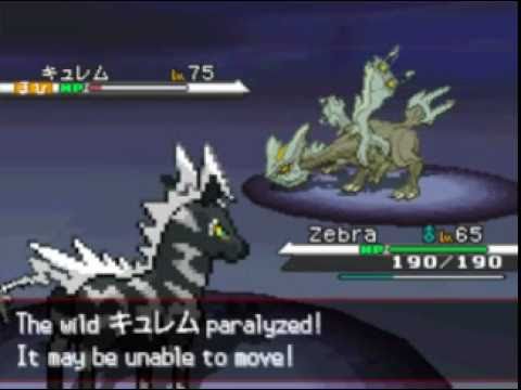 how to catch a kyurem in pokemon black