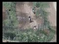 Motorcross training