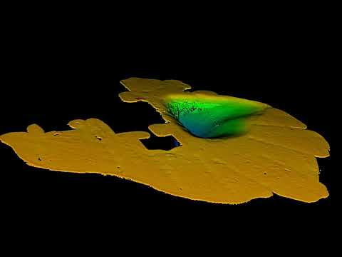 Introducing Baywei sonar