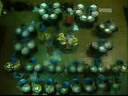 UNT 8 O\ UNT 8 O\