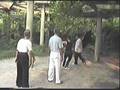 videos de Lung-Hsing Bagua Zhang,1
