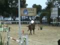 Horse - Wild Thing