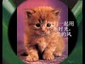 再见我的爱人
