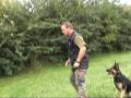 K9 Xena Piggyback K9 training