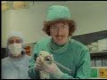 Weird Al Yankovic - Like a surgeon
