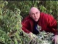 Deep in the Jungle! Deep in the Jungle!