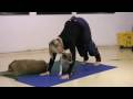 Brenda Bryan and Barking Buddha Doga
