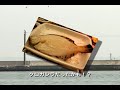 釣れ！宗谷