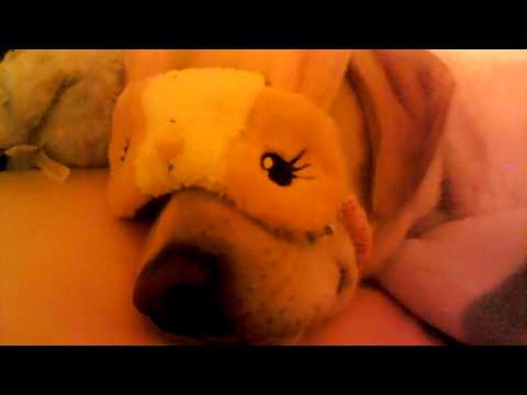 how to make a dog eye patch