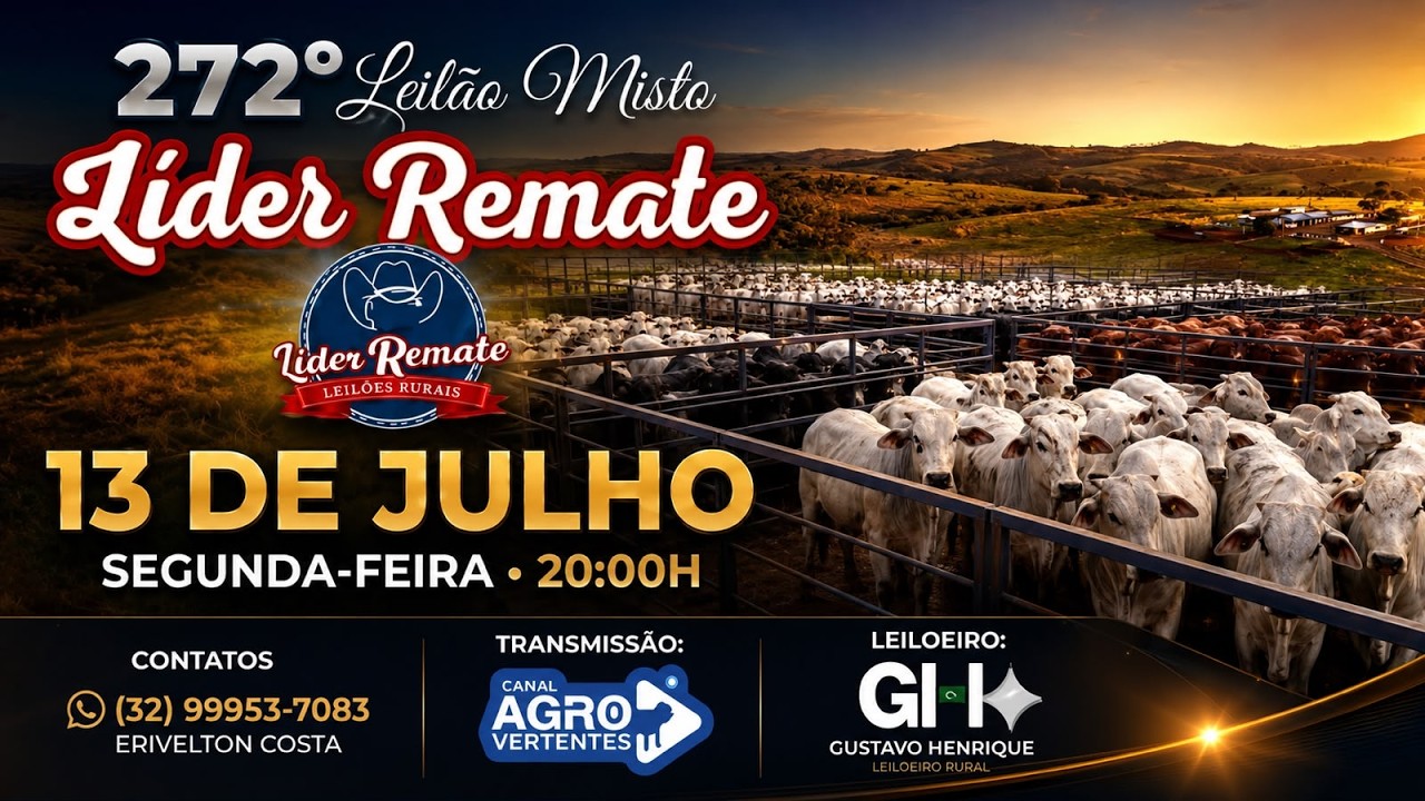 272º LEILÃO MISTO LÍDER REMATE - SÃO JOÃO DEL REI/MG - 13/07/2026