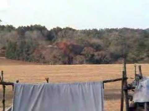 Hometown Tales - The Horror of ...