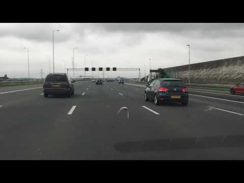Pigeon On The Highway
