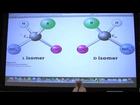 #03 Biochemistry Amino Acids Lecture for Kevin Ahern's BB 450/550