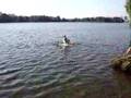 Borzoi video