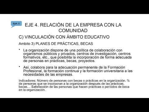 13 VIDEOPÍLDORAS: Planes de prácticas · Impacto social de la organización · Relación con otras empresas