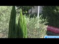 CIVIDALECASTELMONTE 2009 PART 1 SOUND START FORMULA