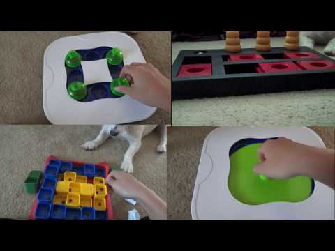 Afternoon Video Sally’s Favourites Puzzles and Snacks a