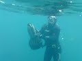 Mergulho Livre, e Pesca Submarina, com Scooter de Mergulho!!!