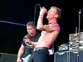 The Stranglers - Live in Halle, Belgium 2005