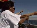 Hookem & Cookem - mackerel