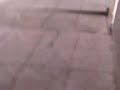 carrera de cocoshito JAJAJJAJAJA :$