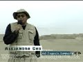 Huacho : Bandurria ( www.guiasescapate.com )