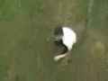 Parkour Parkour